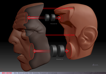 Dr Gaulstone 3D Model Magnet Interface